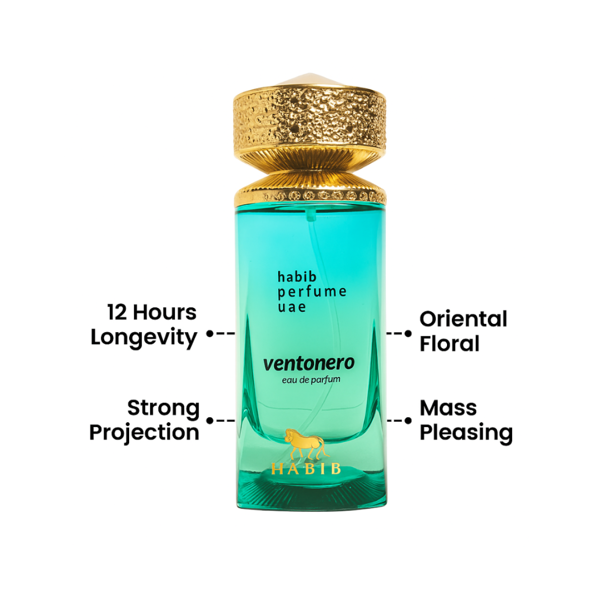 Vento Nero 100ml Unisex EDP Habib Perfumes