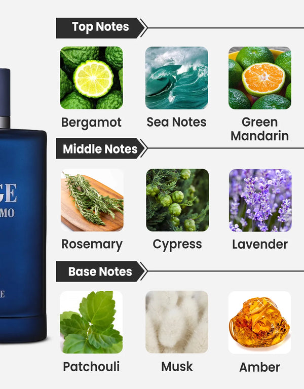 Jorge Di Profumo Deep Blue Eau de Parfum 100ml Maison Alhambra  Aromique