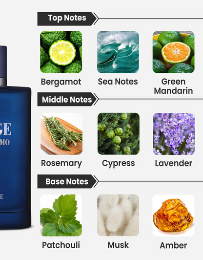 Jorge Di Profumo Deep Blue Eau de Parfum 100ml Maison Alhambra  Aromique