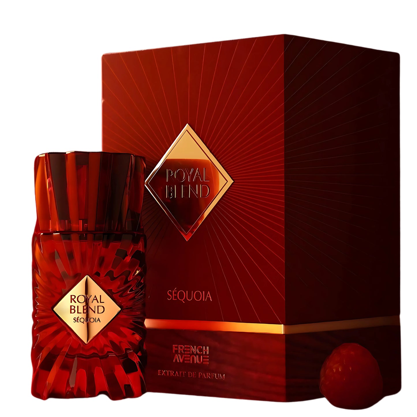 Royal Blend Sequoia Perfume 100ml EDP French Avenue