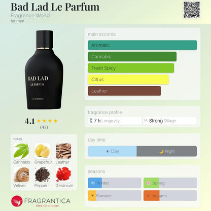 Bad Lad Perfume 100ml EDP Fragrance World