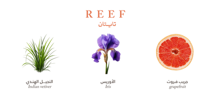 Reef Titan EDP 200ml Reef Perfumes