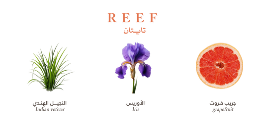 Reef Titan EDP 200ml Reef Perfumes