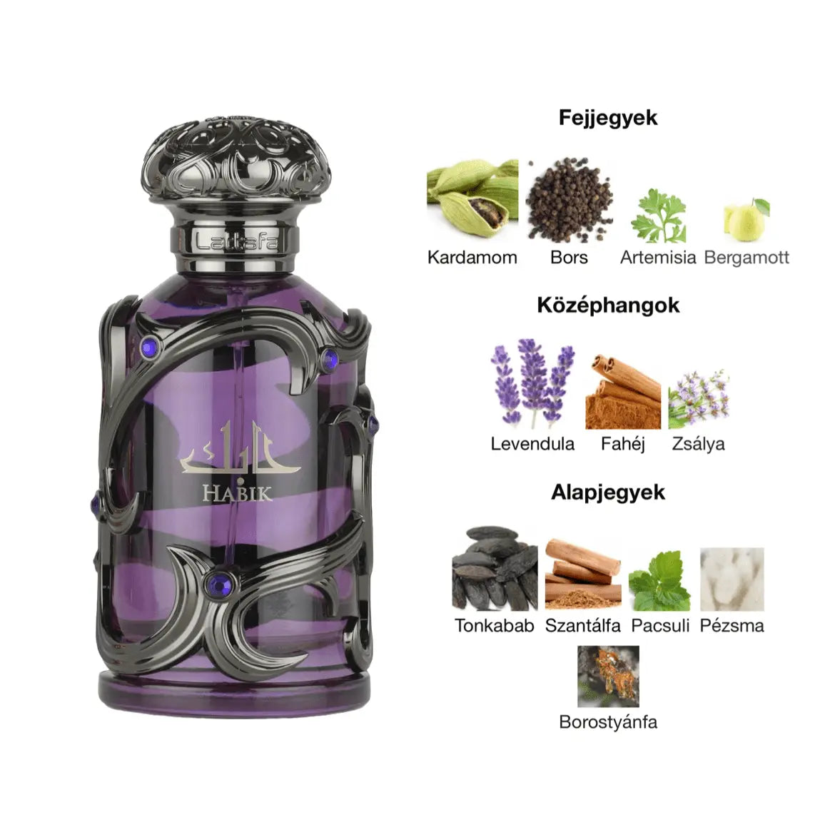 Habik Men Perfume 100ml EDP Lattafa - Aromique Beauty Ltd