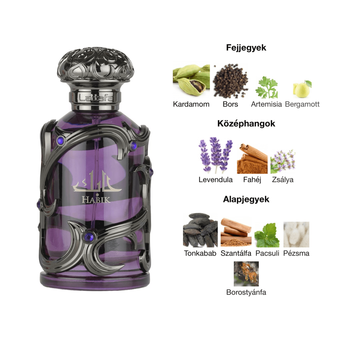 Habik Men Perfume 100ml EDP Lattafa - Aromique Beauty Ltd