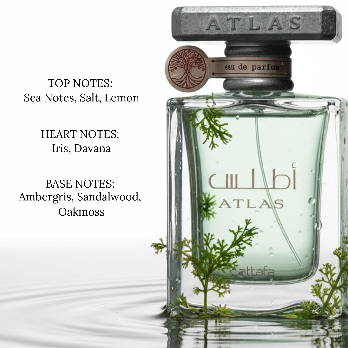 Atlas Perfume Eau de Parfum 55ml Unisex Lattafa