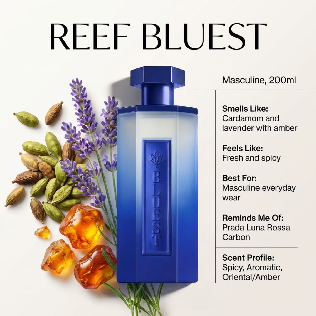 REEF Bluest Eau de Parfum 200ml